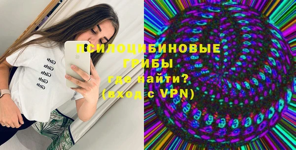 сатива Абаза