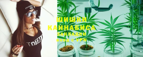 сатива Абаза
