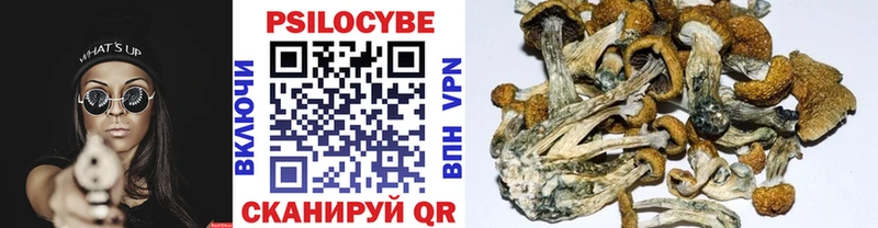 Галлюциногенные грибы мицелий Карабаново